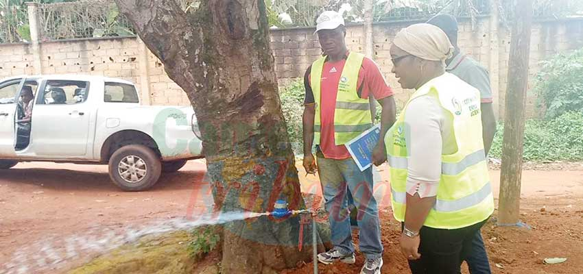 Une nouvelle qui va certainement remettre les Camerounais en confiance