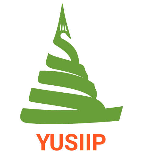 YUSIIP : Un nouveau paradigme pour la gestion et la planification urbaine