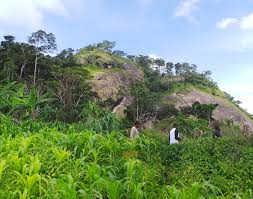 Yaoundé - ascension du Mont Eloumden : comment profiter des bienfaits des activités physiques et sportives
