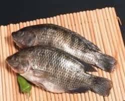 Et si on testait le poisson pour la fabrication de saucissons Made in Cameroon